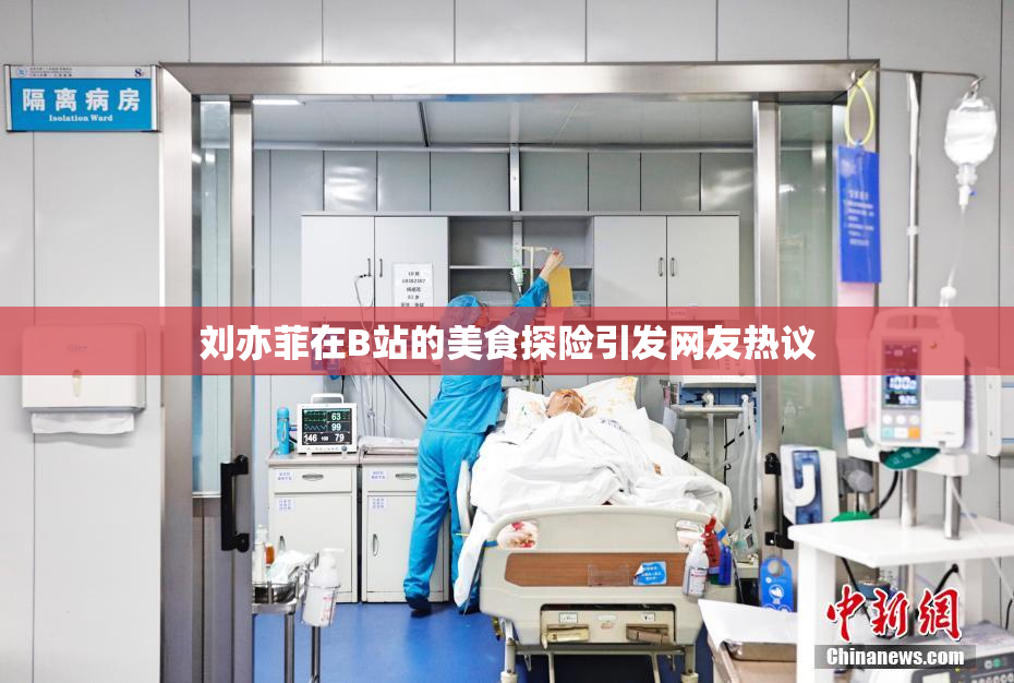 刘亦菲在B站的美食探险引发网友热议