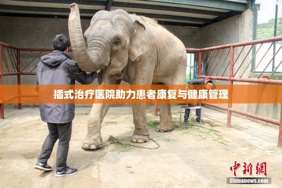 插式治疗医院助力患者康复与健康管理