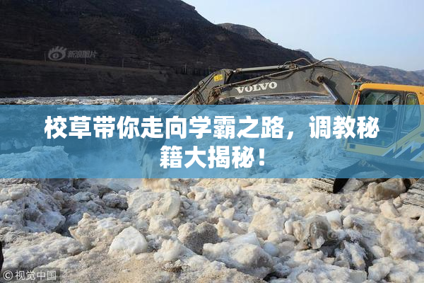 校草带你走向学霸之路，调教秘籍大揭秘！