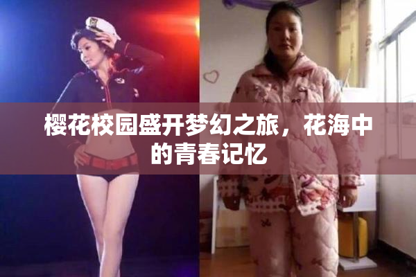 樱花校园盛开梦幻之旅，花海中的青春记忆