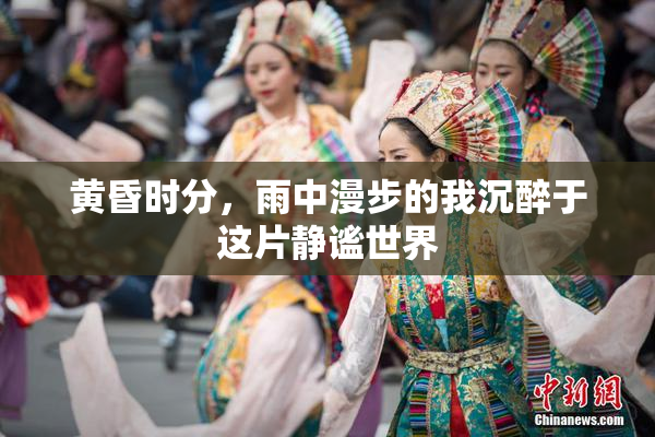 黄昏时分，雨中漫步的我沉醉于这片静谧世界
