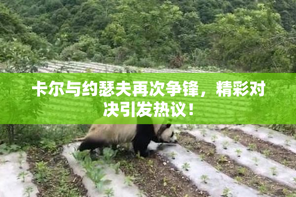 卡尔与约瑟夫再次争锋，精彩对决引发热议！