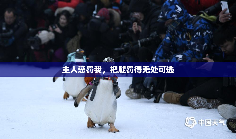 主人惩罚我，把腿罚得无处可逃