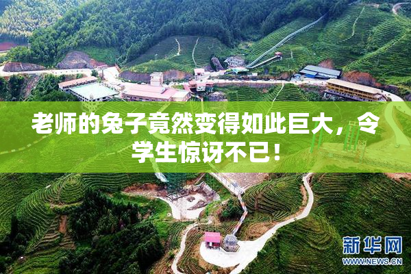 老师的兔子竟然变得如此巨大，令学生惊讶不已！