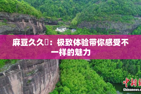 麻豆久久婬：极致体验带你感受不一样的魅力