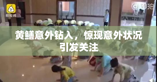 黄鳝意外钻入，惊现意外状况引发关注