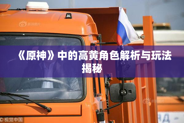 《原神》中的高黄角色解析与玩法揭秘