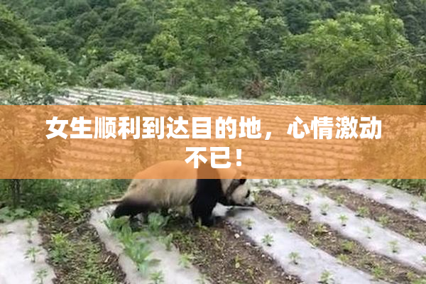 女生顺利到达目的地，心情激动不已！