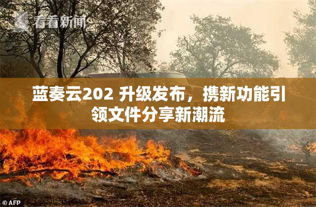 蓝奏云202 升级发布，携新功能引领文件分享新潮流