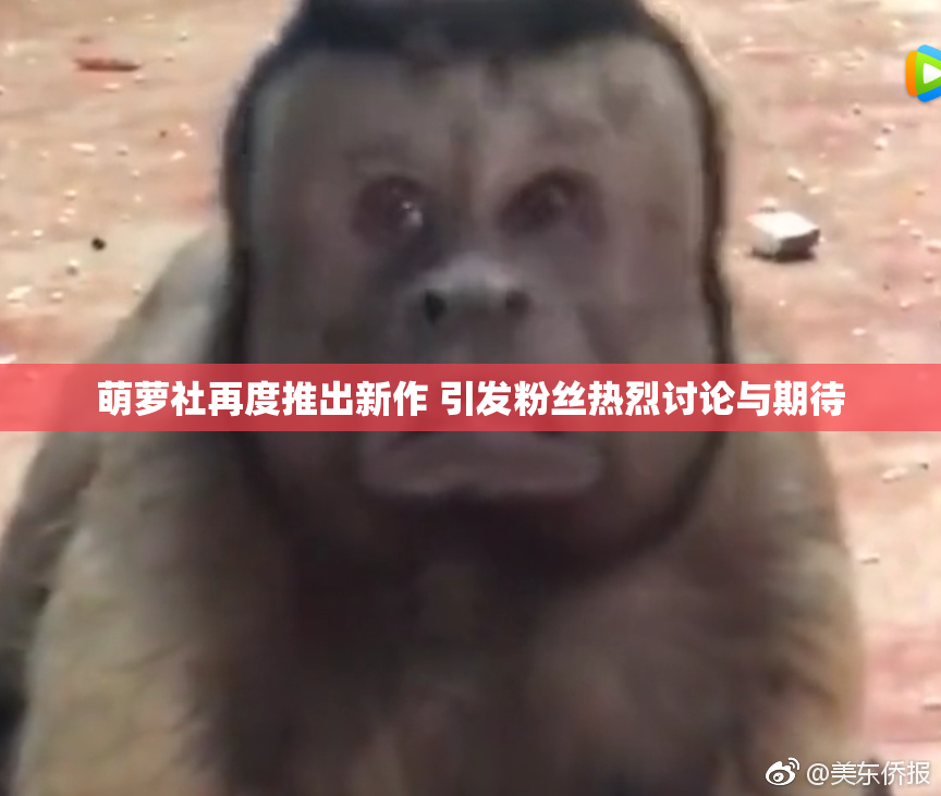 萌萝社再度推出新作 引发粉丝热烈讨论与期待