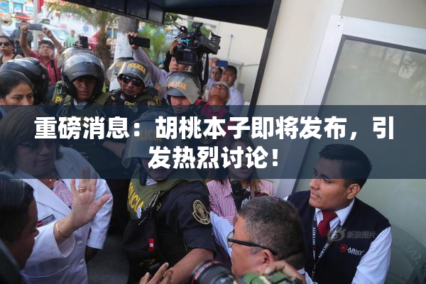重磅消息：胡桃本子即将发布，引发热烈讨论！