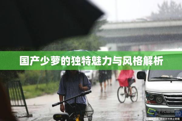 国产少萝的独特魅力与风格解析