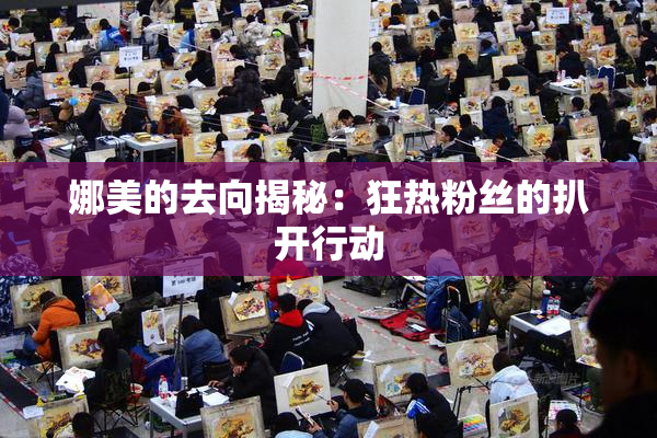 娜美的去向揭秘：狂热粉丝的扒开行动