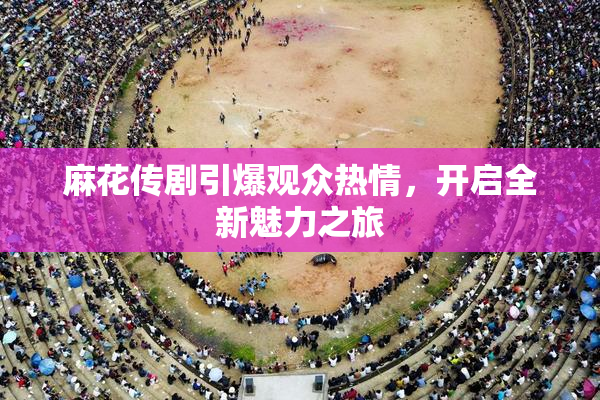 麻花传剧引爆观众热情，开启全新魅力之旅