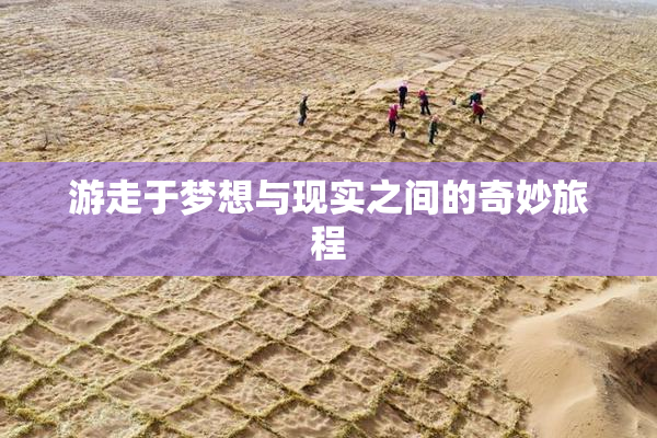 游走于梦想与现实之间的奇妙旅程