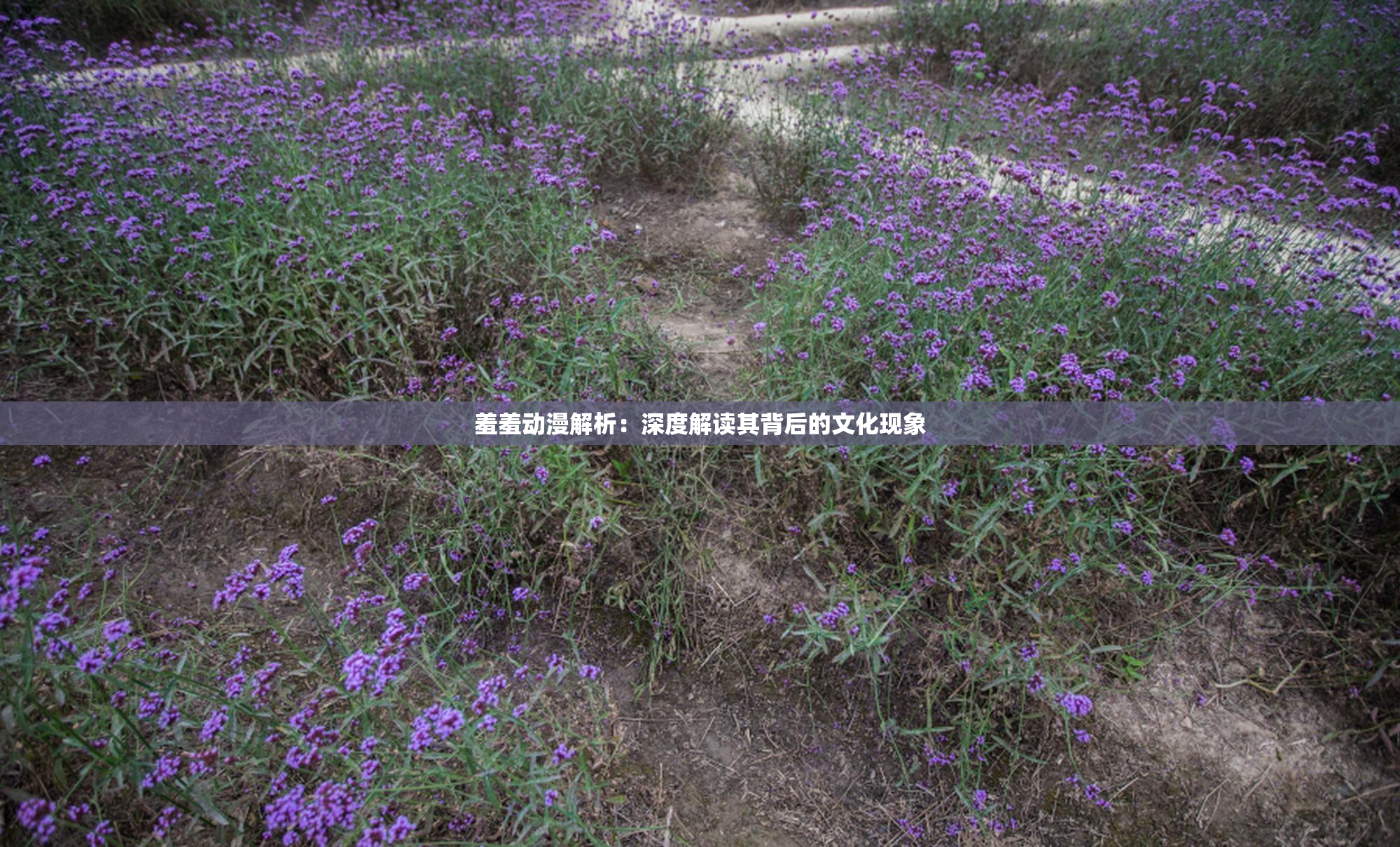 羞羞动漫解析：深度解读其背后的文化现象