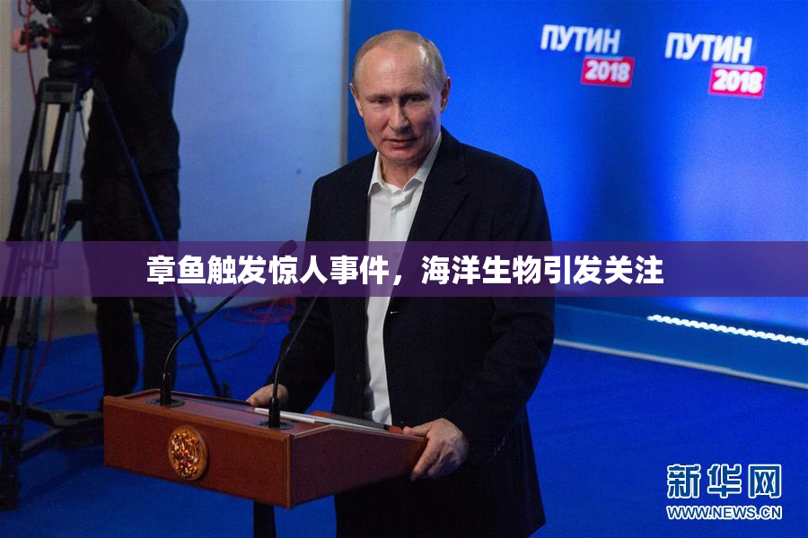 章鱼触发惊人事件，海洋生物引发关注