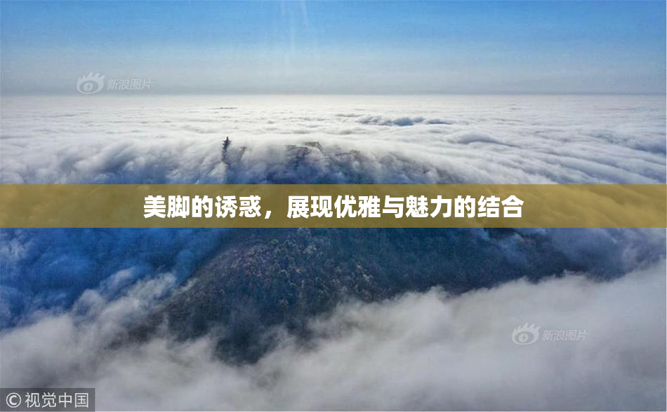 美脚的诱惑，展现优雅与魅力的结合