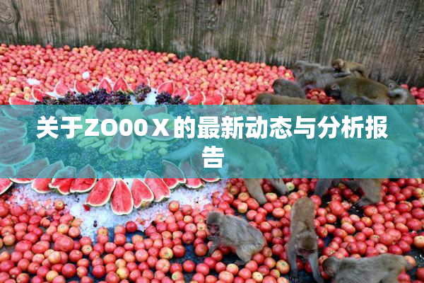 关于ZO00Ⅹ的最新动态与分析报告