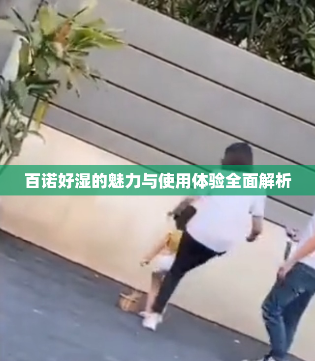 百诺好湿的魅力与使用体验全面解析