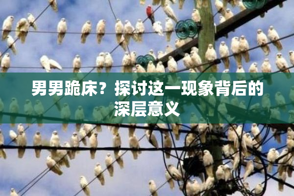 男男跪床？探讨这一现象背后的深层意义