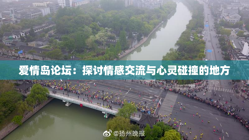 爱情岛论坛：探讨情感交流与心灵碰撞的地方