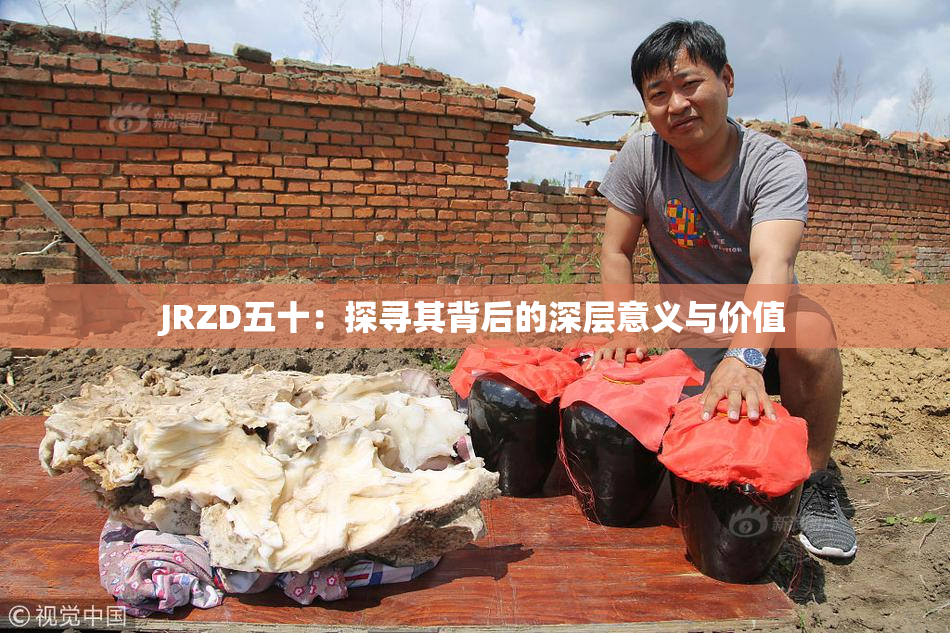 JRZD五十：探寻其背后的深层意义与价值