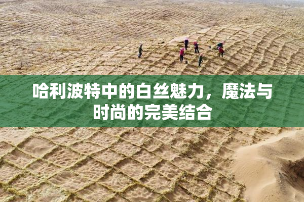 哈利波特中的白丝魅力，魔法与时尚的完美结合
