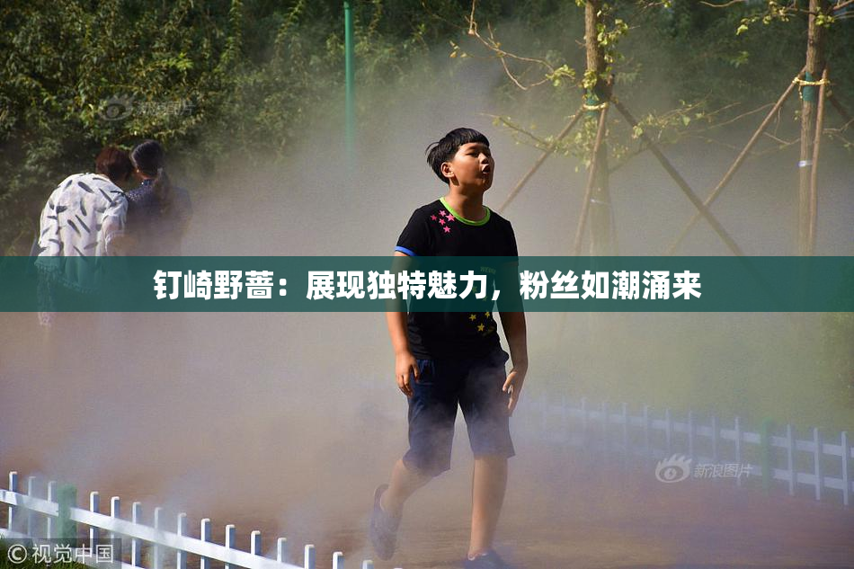 钉崎野蔷：展现独特魅力，粉丝如潮涌来