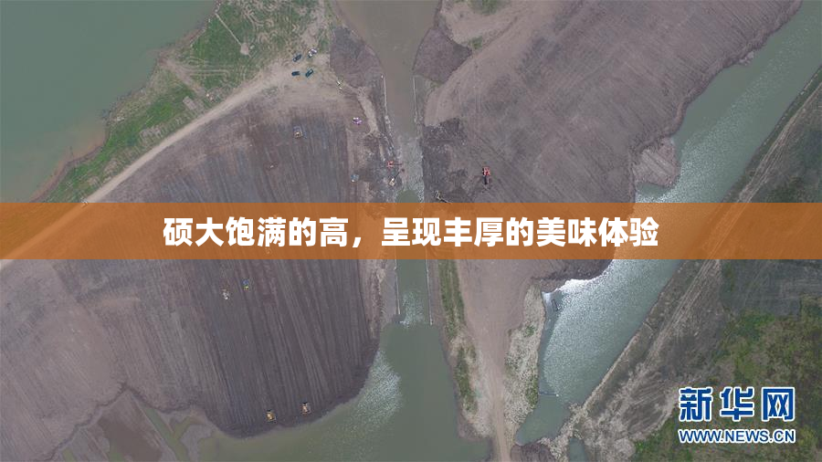 硕大饱满的高，呈现丰厚的美味体验