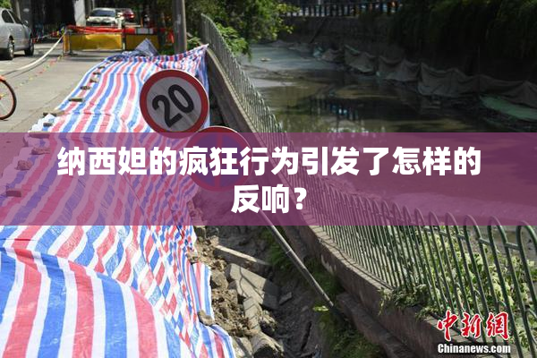纳西妲的疯狂行为引发了怎样的反响？