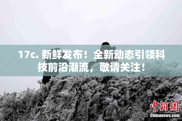 17c. 新鲜发布！全新动态引领科技前沿潮流，敬请关注！