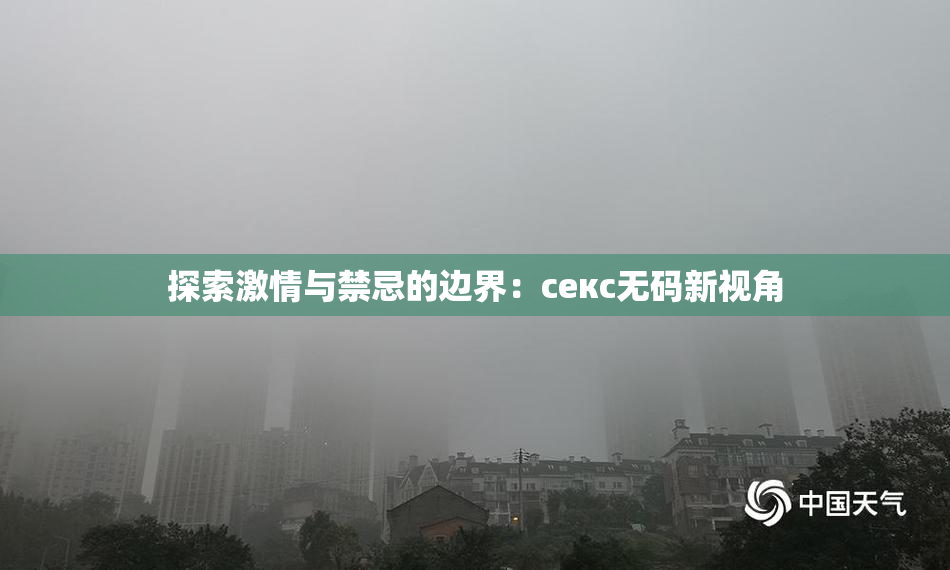 探索激情与禁忌的边界：секс无码新视角