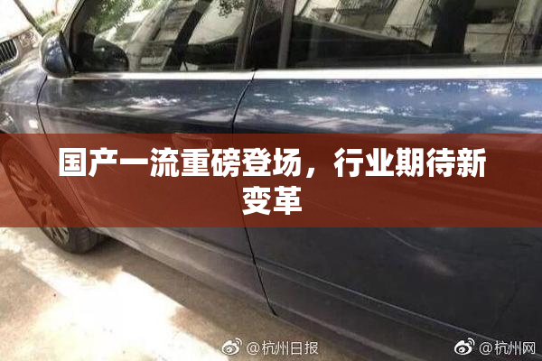 国产一流重磅登场，行业期待新变革