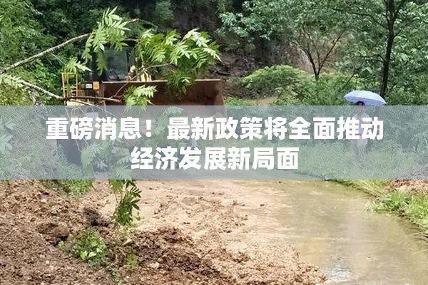 重磅消息！最新政策将全面推动经济发展新局面