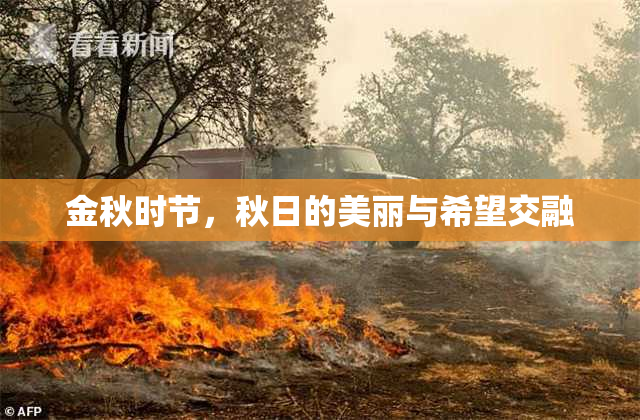 金秋时节，秋日的美丽与希望交融
