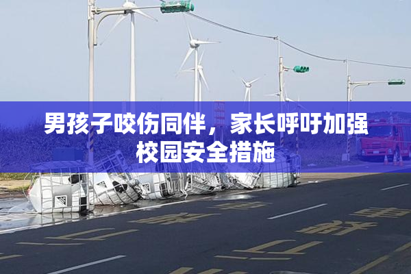 男孩子咬伤同伴，家长呼吁加强校园安全措施