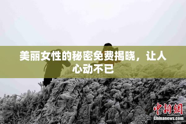 美丽女性的秘密免费揭晓，让人心动不已