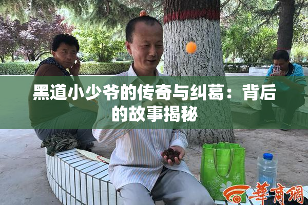 黑道小少爷的传奇与纠葛：背后的故事揭秘