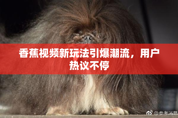 香蕉视频新玩法引爆潮流，用户热议不停