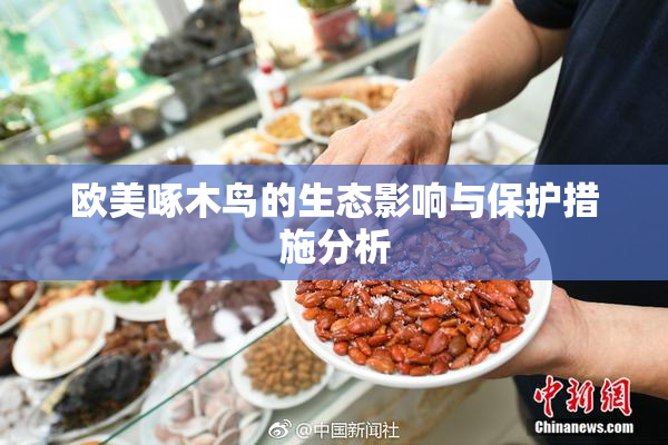 欧美啄木鸟的生态影响与保护措施分析