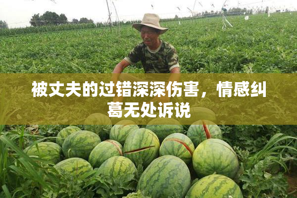 被丈夫的过错深深伤害，情感纠葛无处诉说