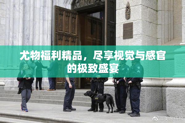 尤物福利精品，尽享视觉与感官的极致盛宴