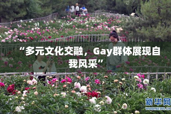 “多元文化交融，Gay群体展现自我风采”