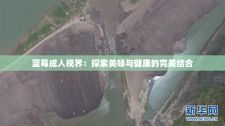 蓝莓成人视界：探索美味与健康的完美结合