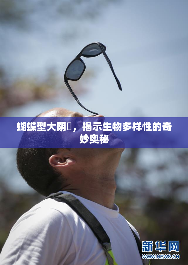 蝴蝶型大阴脣，揭示生物多样性的奇妙奥秘