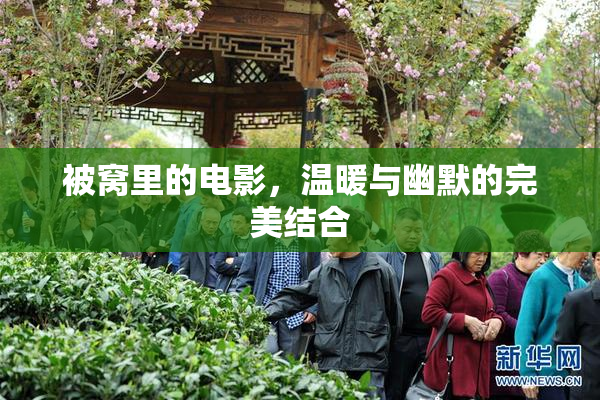 被窝里的电影，温暖与幽默的完美结合