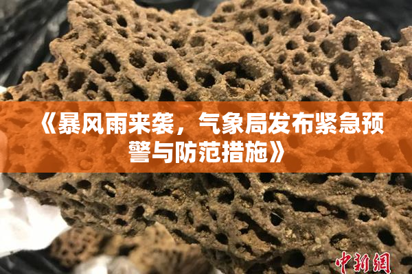 《暴风雨来袭，气象局发布紧急预警与防范措施》