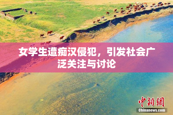 女学生遭痴汉侵犯，引发社会广泛关注与讨论