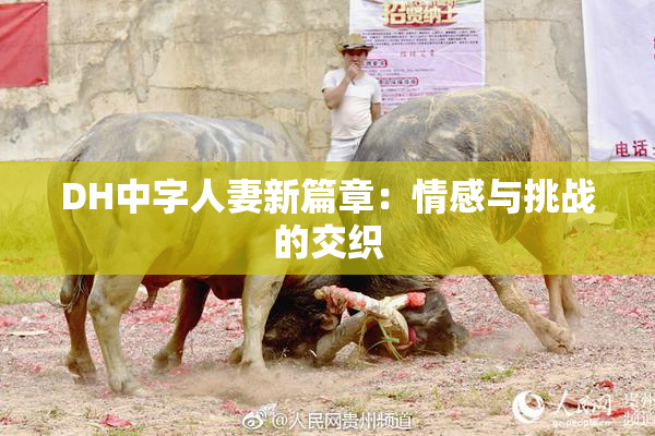 DH中字人妻新篇章：情感与挑战的交织